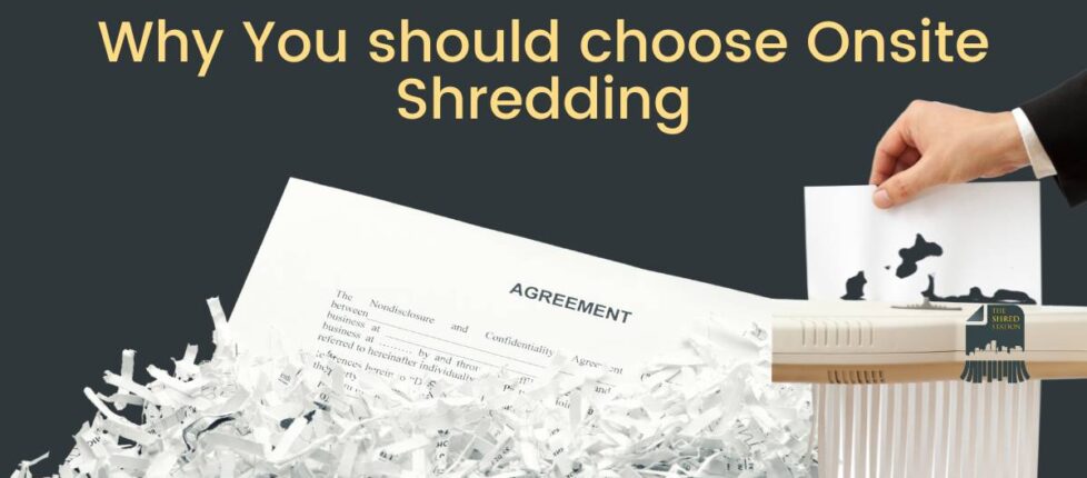 blog-The-Shred-Station-1.jpg